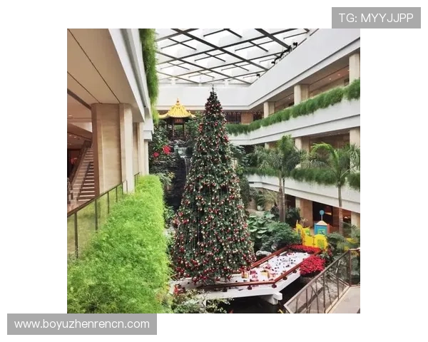 广东AG贵宾厅环境优雅舒适，营造极致奢华的休闲娱乐新体验